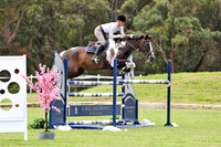 Stonewall Equestrian January 2022