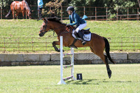 Paton TSHA Stonewall Nov22