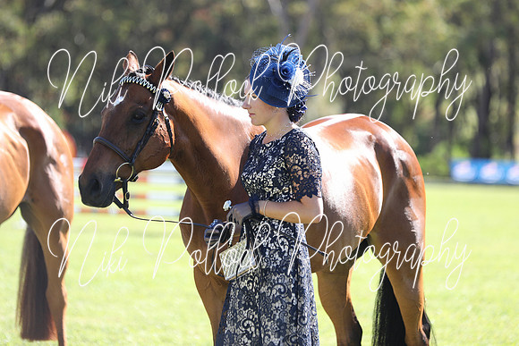 Paton Stonewall TSHA Nov2022 (7 of 23)