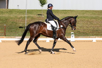 Elementary Dressage TSHA Stonewall Nov2022-4