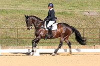 Elementary Dressage TSHA Stonewall Nov2022-3
