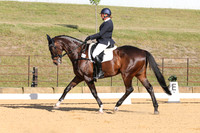 Elementary Dressage TSHA Stonewall Nov2022-1
