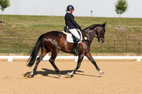 Elementary Dressage TSHA Stonewall Nov2022-5