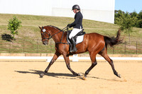 Elementary Dressage TSHA Stonewall Nov2022-6