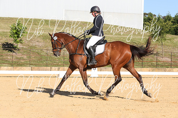 Elementary Dressage TSHA Stonewall Nov2022-6