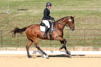 Elementary Dressage TSHA Stonewall Nov2022-7