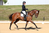 Elementary Dressage TSHA Stonewall Nov2022-9