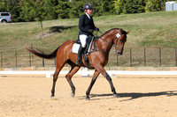 Elementary Dressage TSHA Stonewall Nov2022-8