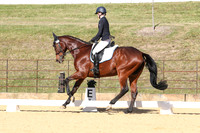 Elementary Dressage TSHA Stonewall Nov2022-10