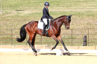 Elementary Dressage TSHA Stonewall Nov2022-11