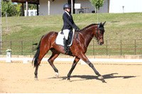 Elementary Dressage TSHA Stonewall Nov2022-12