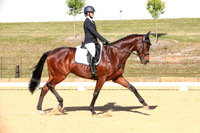 Elementary Dressage TSHA Stonewall Nov2022-13