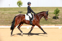 Elementary Dressage TSHA Stonewall Nov2022-14