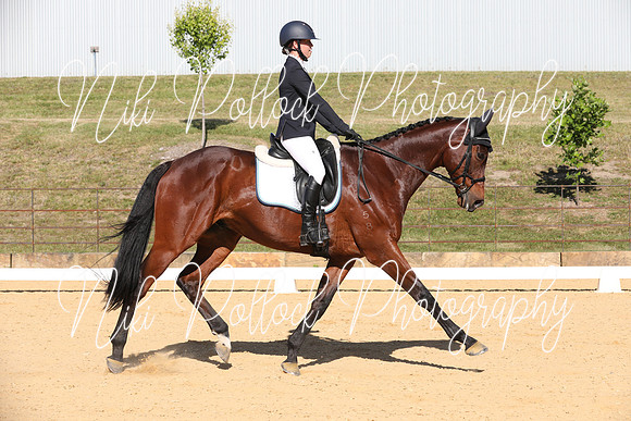 Elementary Dressage TSHA Stonewall Nov2022-14