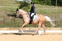 Elementary Dressage TSHA Stonewall Nov2022-16