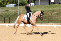 Elementary Dressage TSHA Stonewall Nov2022-19