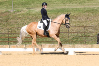 Elementary Dressage TSHA Stonewall Nov2022-17
