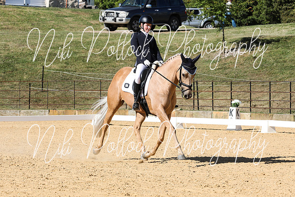 Elementary Dressage TSHA Stonewall Nov2022-18