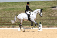 Novice 2B Dressage TSHA Stonewall Nov2022-3