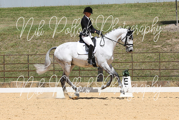 Novice 2B Dressage TSHA Stonewall Nov2022-3