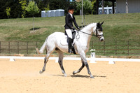Novice 2B Dressage TSHA Stonewall Nov2022-4