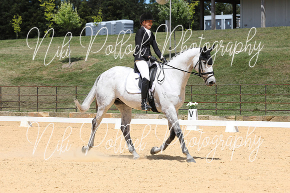 Novice 2B Dressage TSHA Stonewall Nov2022-4