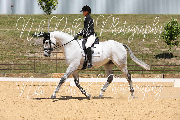 Novice 2B Dressage TSHA Stonewall Nov2022-2