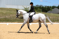 Dressage - Novice 2B