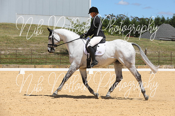Novice 2B Dressage TSHA Stonewall Nov2022-1