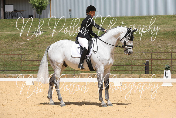 Novice 2B Dressage TSHA Stonewall Nov2022-6