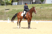 Novice 2B Dressage TSHA Stonewall Nov2022-7