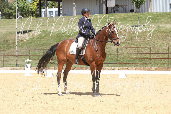 Novice 2B Dressage TSHA Stonewall Nov2022-7