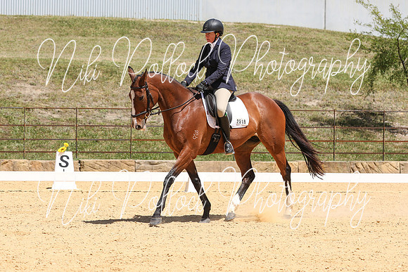 Novice 2B Dressage TSHA Stonewall Nov2022-8
