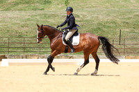 Novice 2B Dressage TSHA Stonewall Nov2022-11