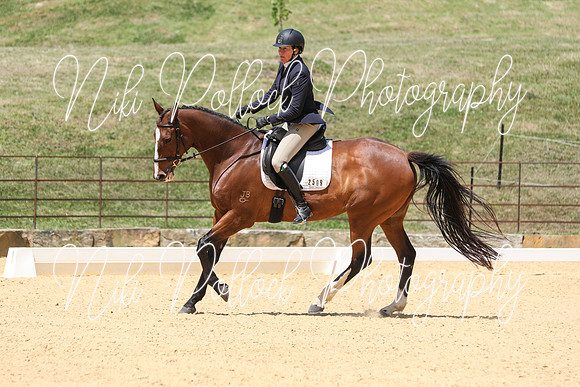 Novice 2B Dressage TSHA Stonewall Nov2022-11