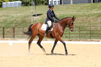 Novice 2B Dressage TSHA Stonewall Nov2022-9