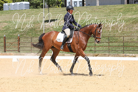 Novice 2B Dressage TSHA Stonewall Nov2022-9