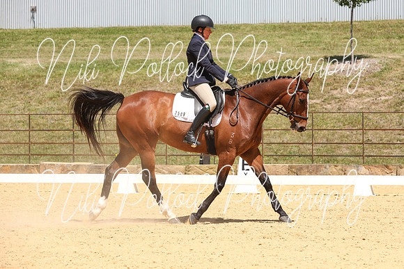 Novice 2B Dressage TSHA Stonewall Nov2022-10