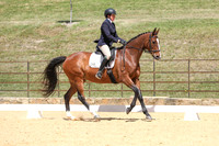 Novice 2B Dressage TSHA Stonewall Nov2022-12