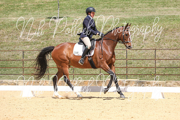 Novice 2B Dressage TSHA Stonewall Nov2022-12