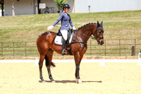 Novice 2B Dressage TSHA Stonewall Nov2022-13