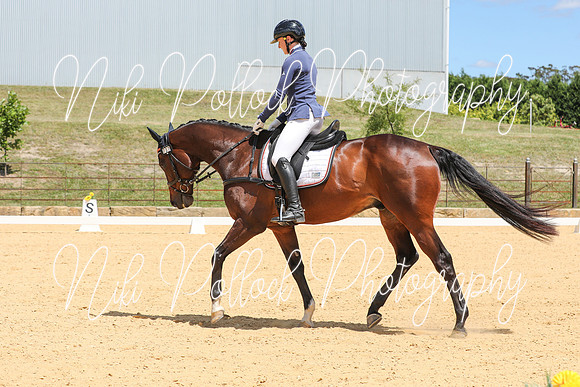 Novice 2B Dressage TSHA Stonewall Nov2022-14