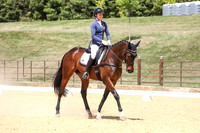 Novice 2B Dressage TSHA Stonewall Nov2022-17