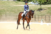 Novice 2B Dressage TSHA Stonewall Nov2022-16