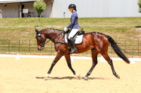 Novice 2B Dressage TSHA Stonewall Nov2022-15