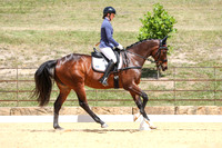 Novice 2B Dressage TSHA Stonewall Nov2022-18