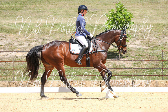 Novice 2B Dressage TSHA Stonewall Nov2022-18
