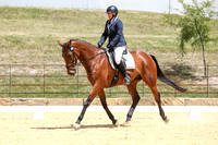 Novice 2B Dressage TSHA Stonewall Nov2022-20