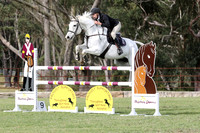 Arena 1 1.30m Stonewall May 2023-2