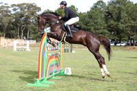 Arena 1 1.30m Stonewall May 2023-7